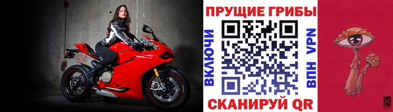Галлюциногенные грибы MAGIC MUSHROOMS  Купить где  Озёры 